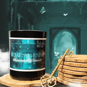 Bougie "Eclat sylvestre"