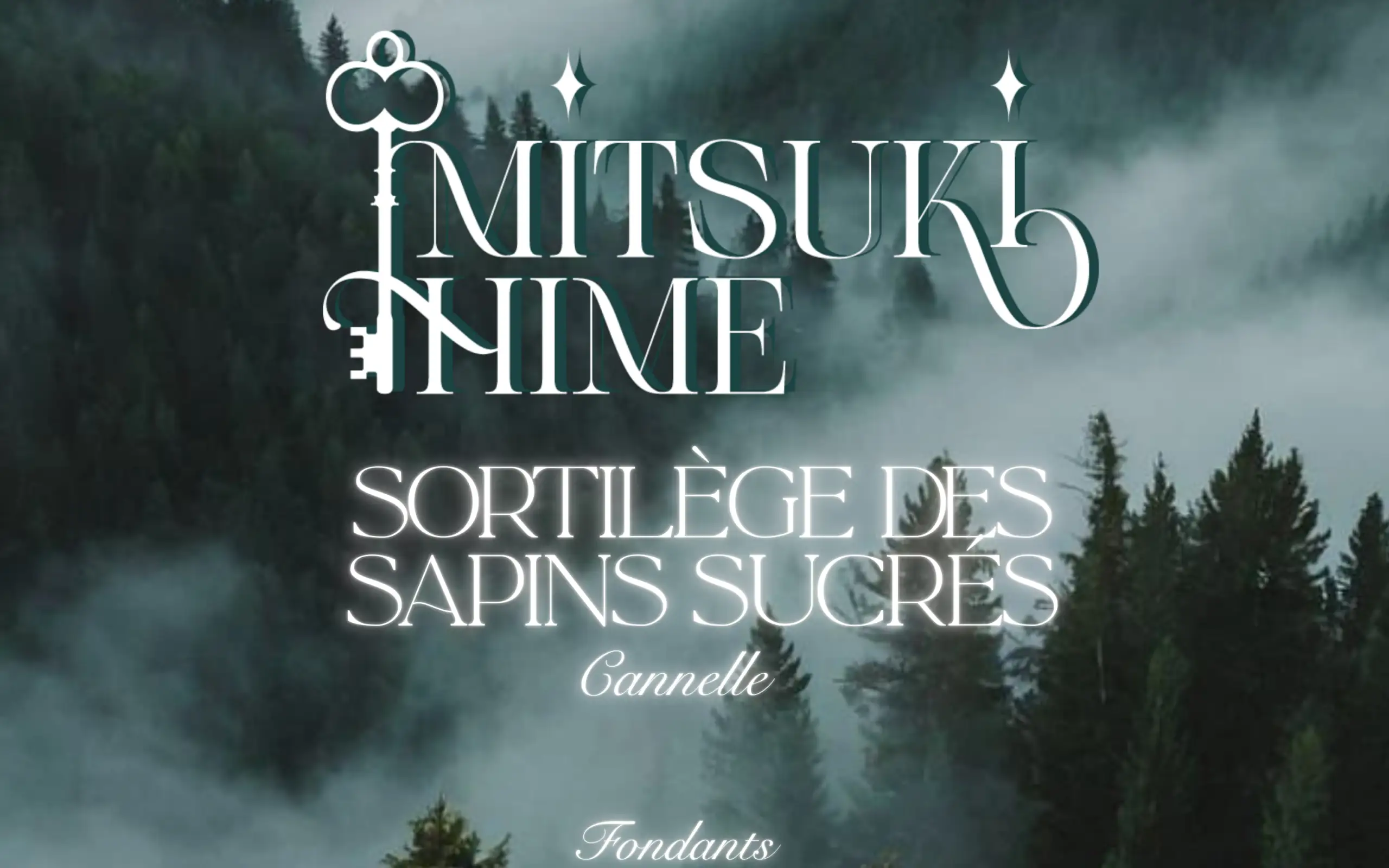 Fondants "Sortilège des Sapins Sucrés" – Image 2