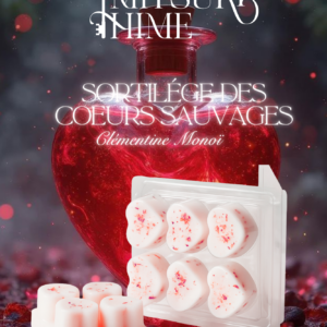 Fondants "Sortilège des cœurs sauvages"
