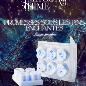 Fondants "Promesses sous les pins enchantés"